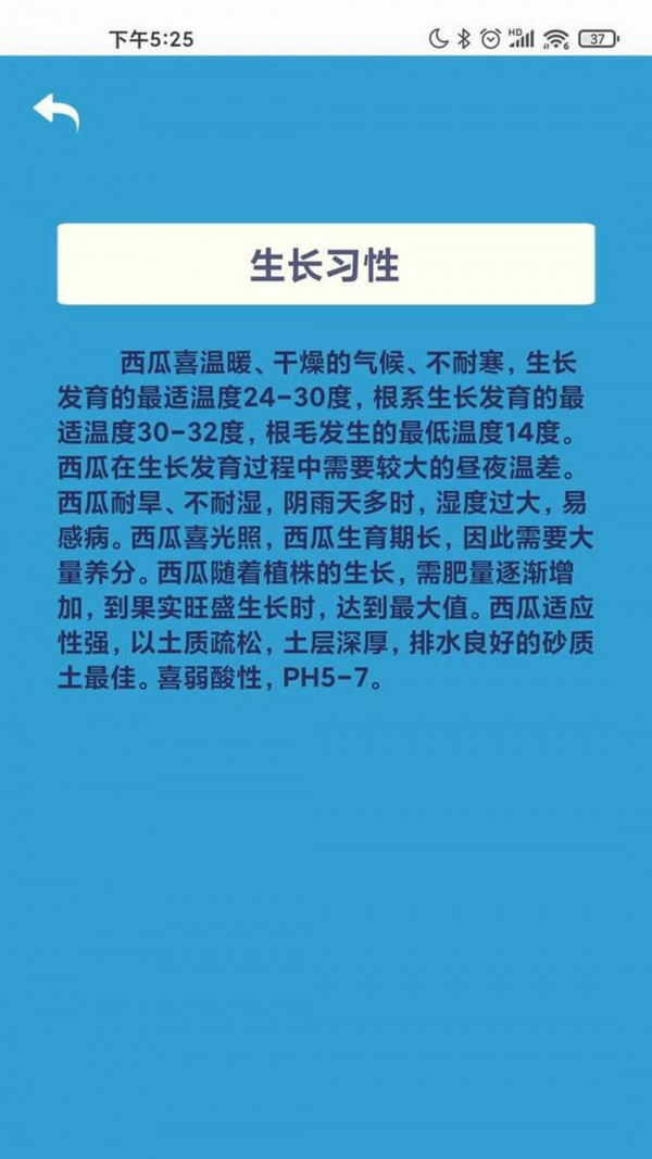 华夏大西瓜 华夏大西瓜