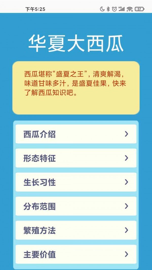 华夏大西瓜 华夏大西瓜