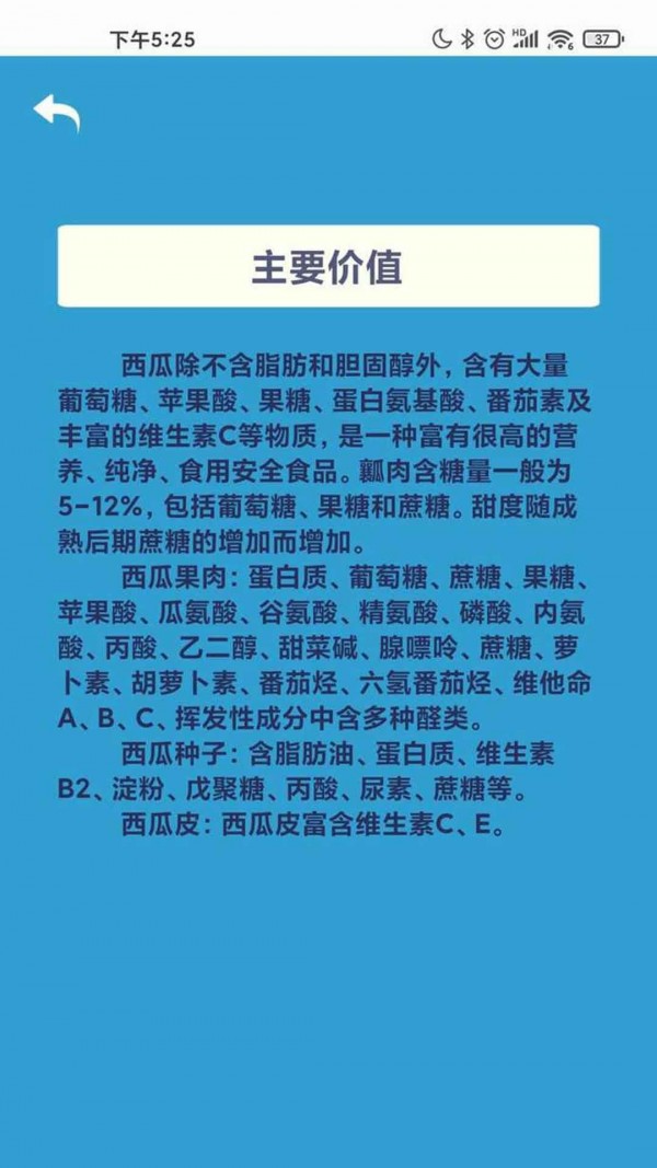 华夏大西瓜 华夏大西瓜