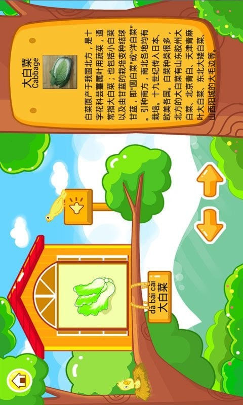 儿童学习认蔬菜