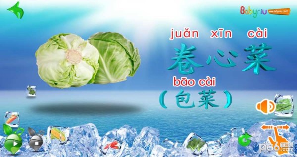 宝贝牛蔬菜认知