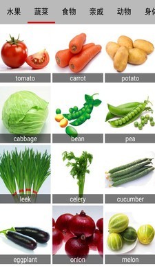 美国宝宝学英语