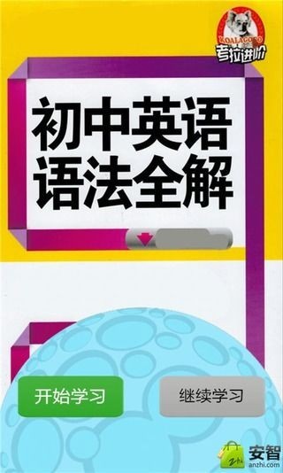 初中英语语法全解