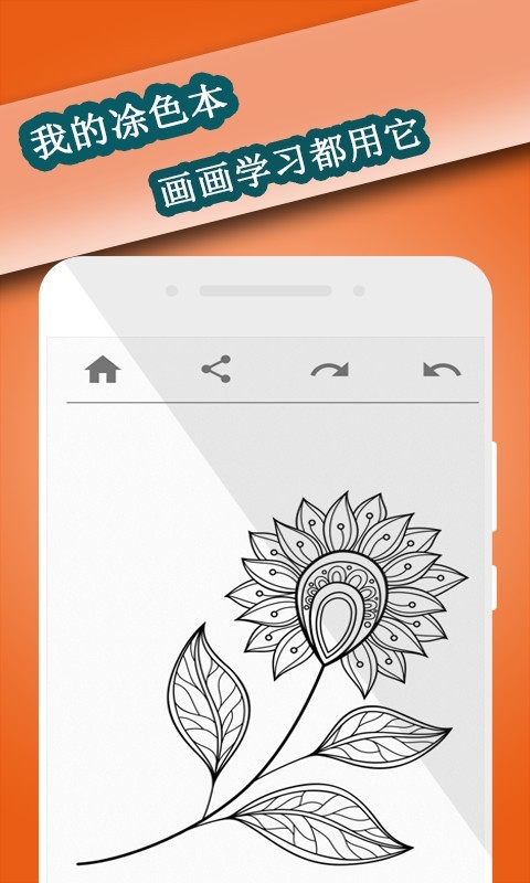 我的涂色本