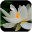 四季养生之道