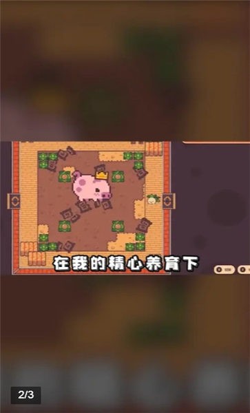 悠闲农场手机版
