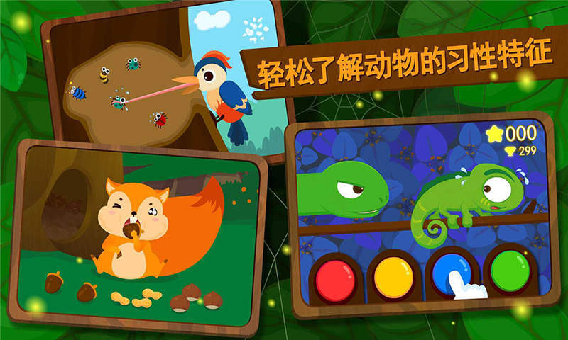 森林动物 森林动物