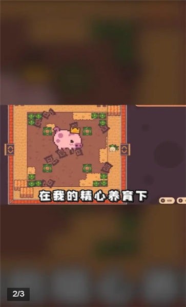 悠闲农场手机版