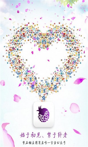 紫石榴应用商店 紫石榴应用商店