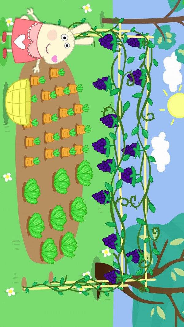 兔宝宝全国旅行