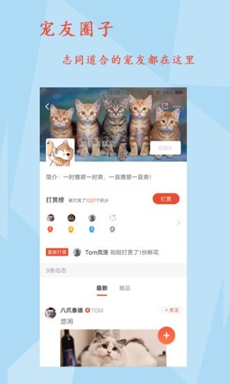 宠友帝