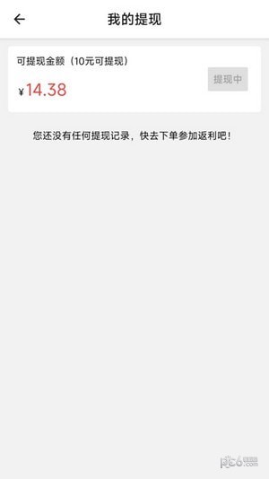 猪猪返利