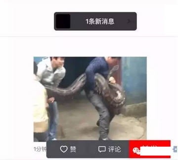 微钻app下载