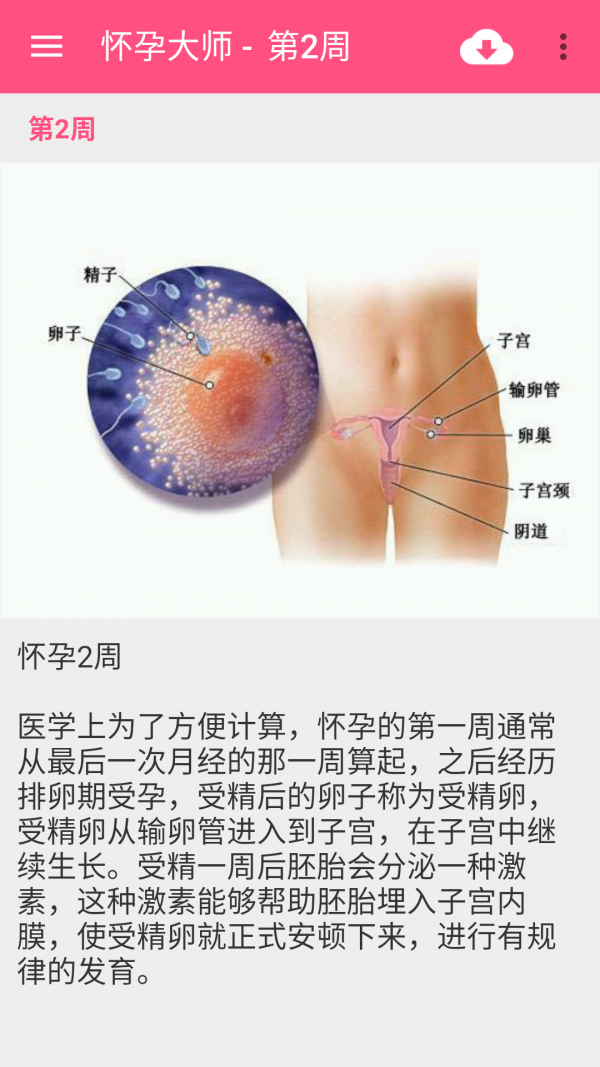 靠谱妈孕育大师