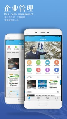 掌上凯盛