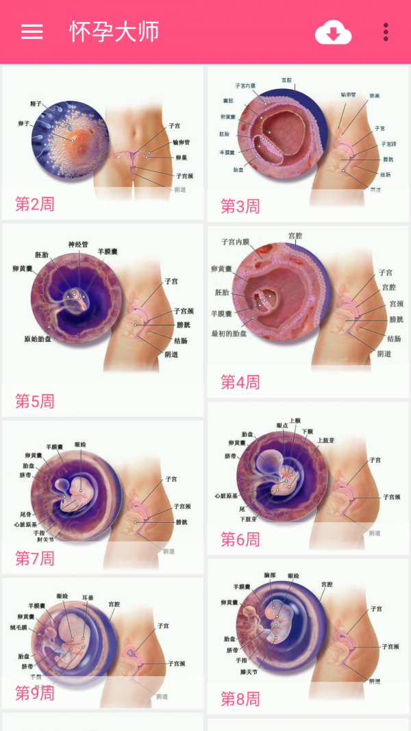 靠谱妈孕育大师