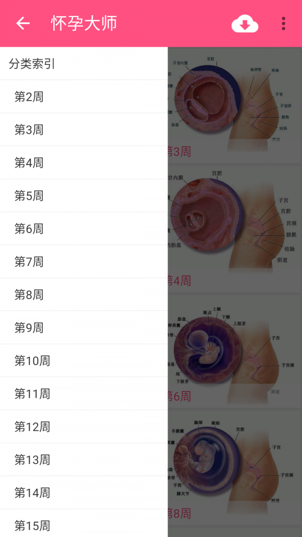 靠谱妈孕育大师