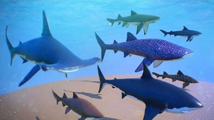 超级海底大猎杀官方版