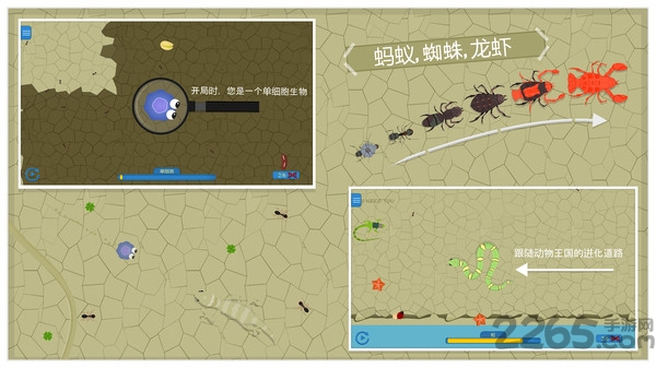 动物进化论游戏