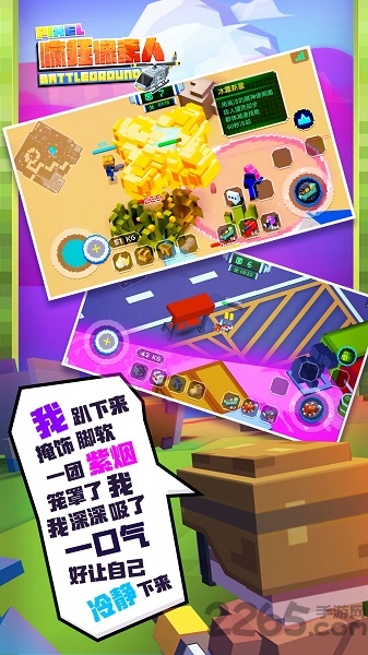 疯狂像素人游戏