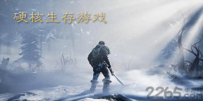硬核生存游戏有哪些?硬核生存游戏推荐-硬核生存游戏合集
