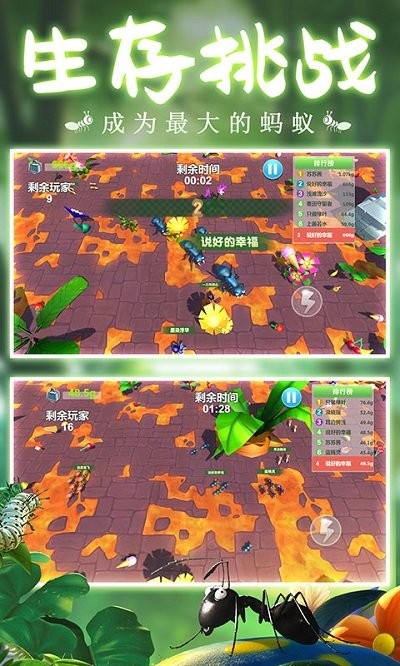 蚂蚁行军团游戏