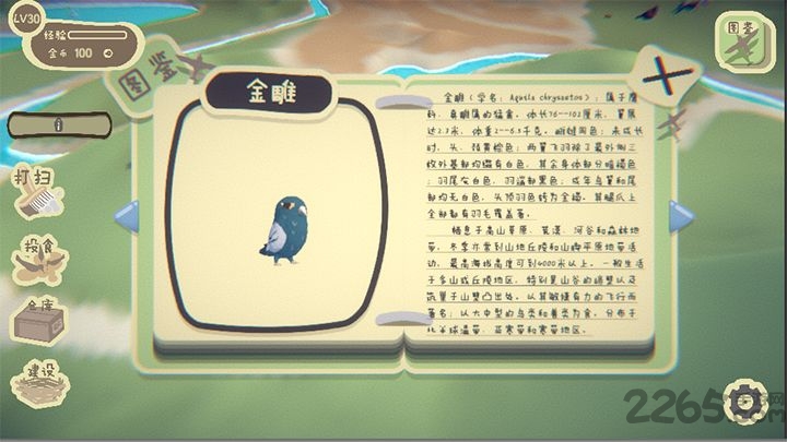 鸟之森游戏(forestofbirds)