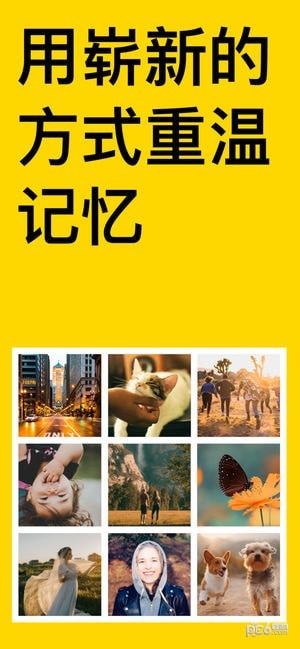 泼辣回忆