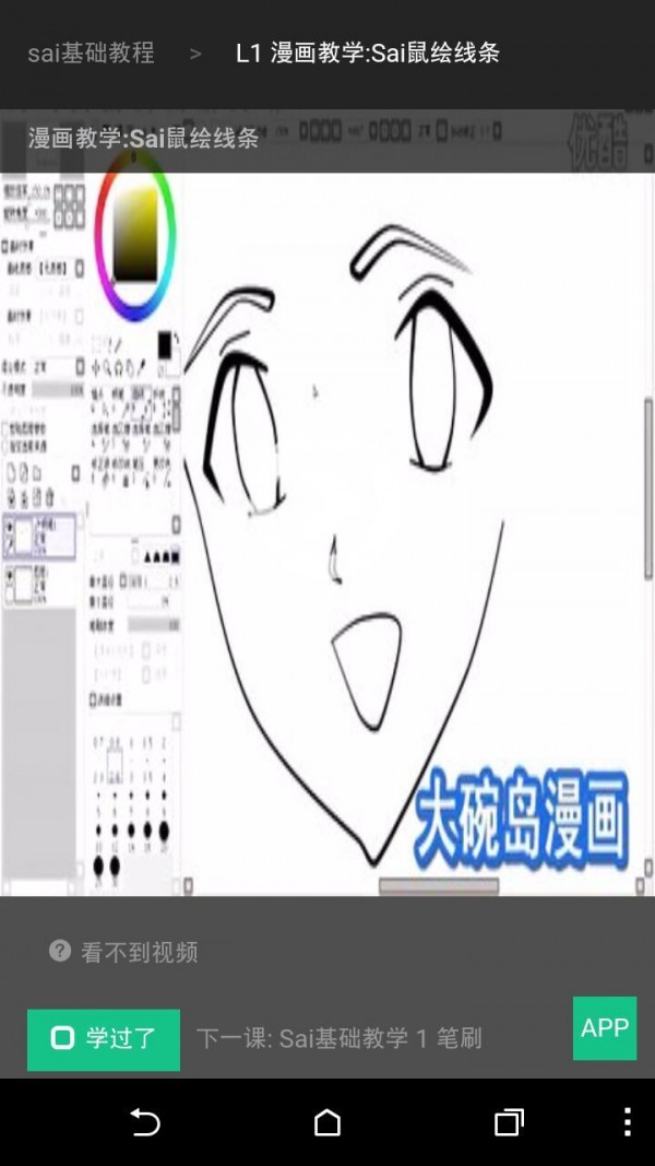 SAI大师