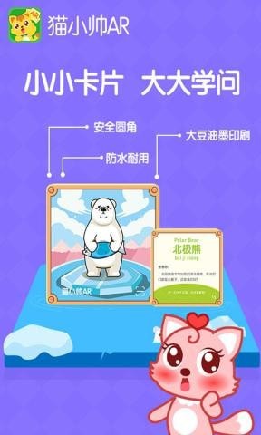 猫小帅AR 猫小帅AR