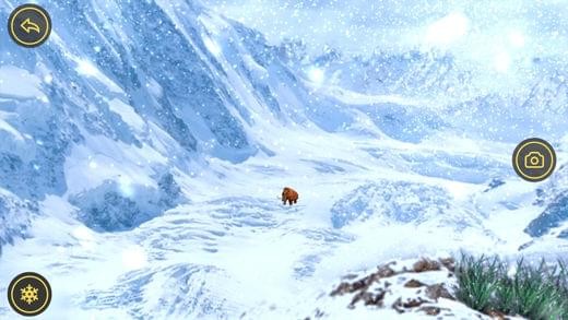 什么是什么app下载