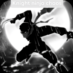 骑士暗影忍者游戏 v1.0 安卓版