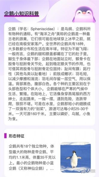 企鹅流量助手 企鹅流量助手