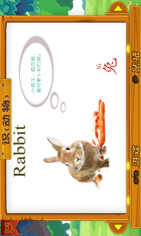 动物大全 动物大全