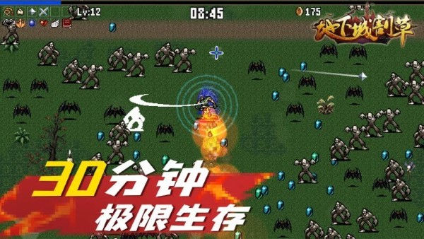 地下城割草steam