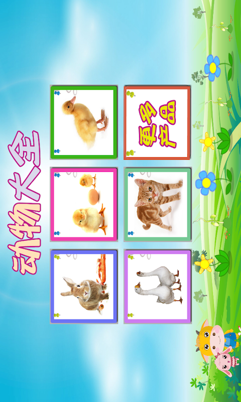 动物大全 动物大全