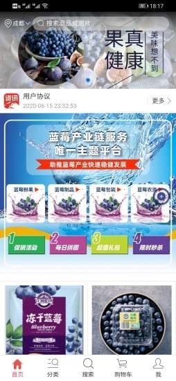 天下蓝莓