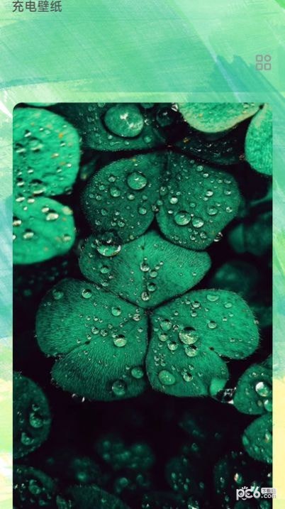 清新充电 清新充电