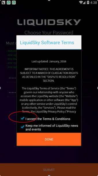 LiquidSky
