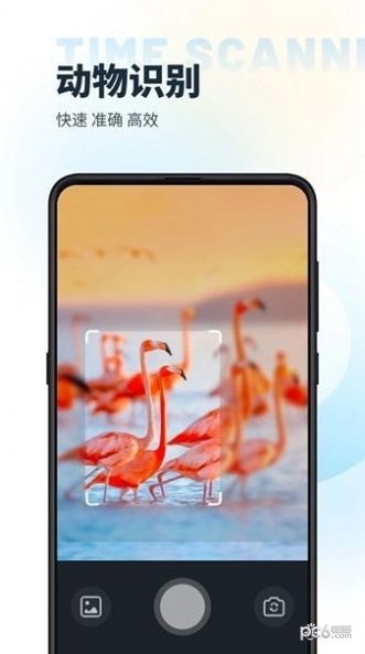 时间扫描 时间扫描