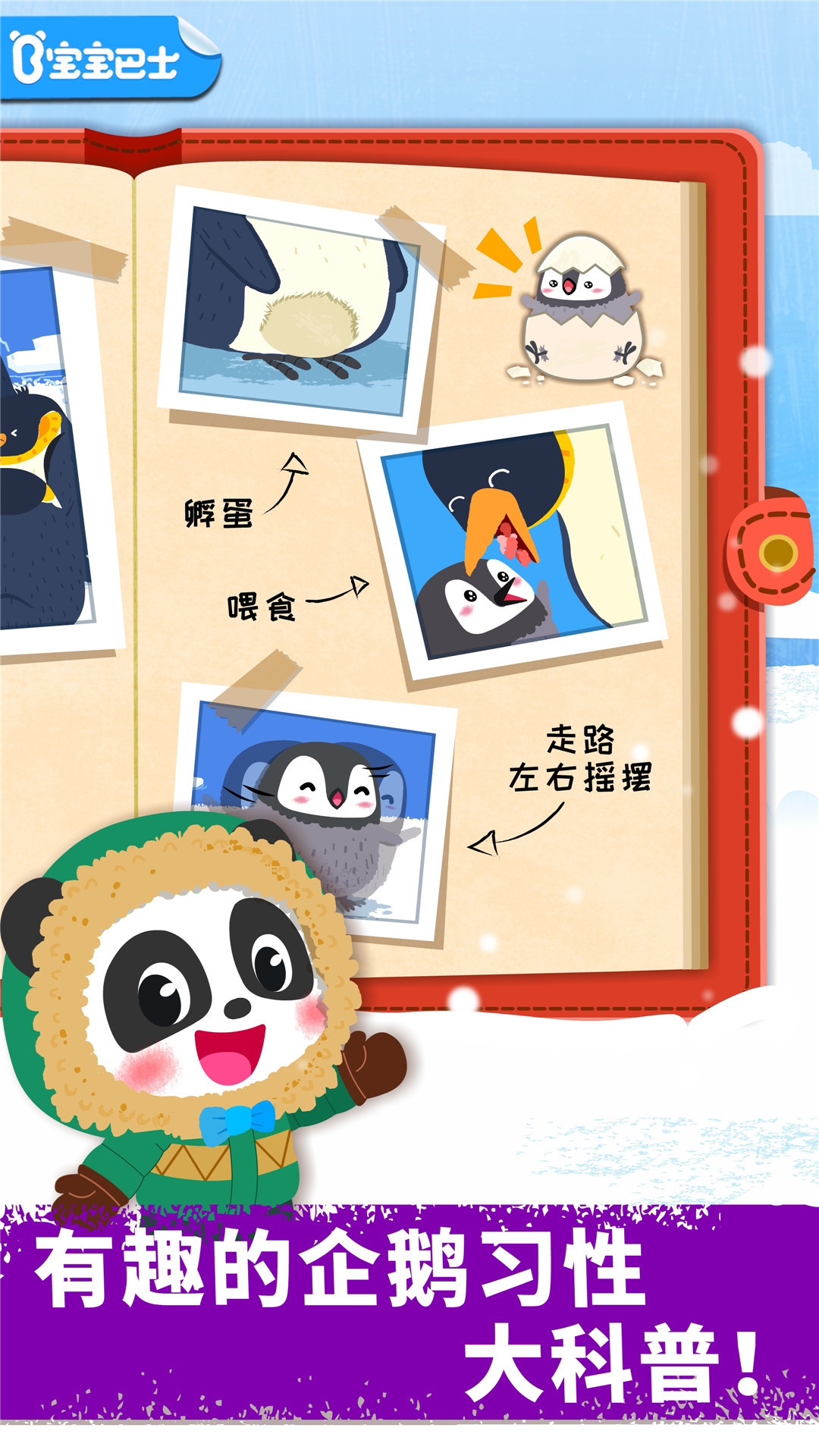 奇妙企鹅部落 奇妙企鹅部落