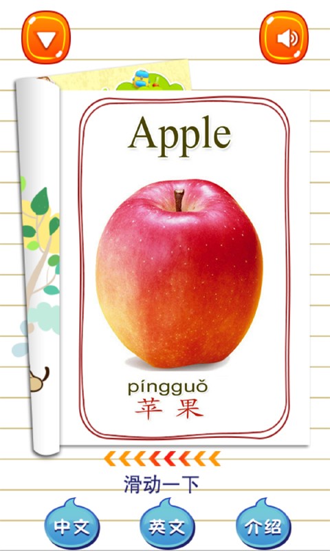 小半龙益智游戏