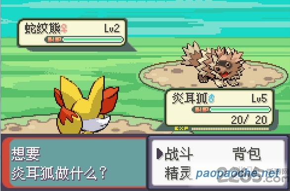 口袋妖怪永恒之沫手机版