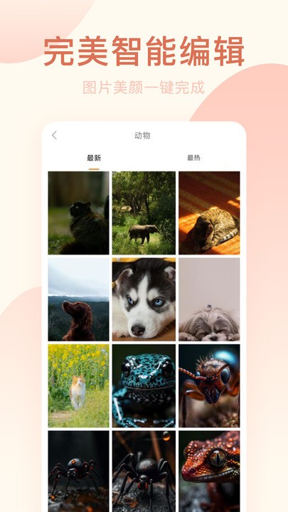 美颜相机专业版app