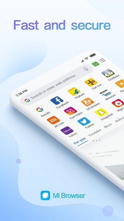 小米浏览器国际版提取版(mi browser)