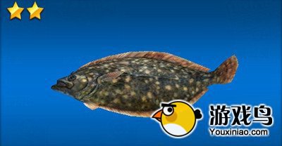 《钓鱼发烧友》鱼种图鉴大全集 恐龙湾篇[多图]图片10
