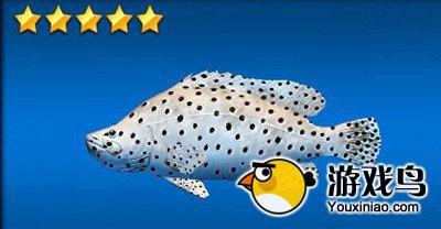 《钓鱼发烧友》鱼种图鉴大全集 恐龙湾篇[多图]图片14