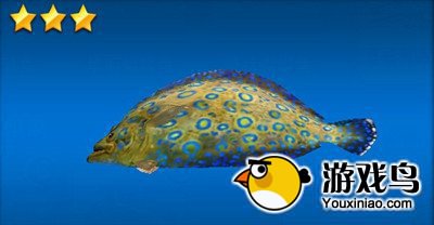 《钓鱼发烧友》鱼种图鉴大全 捕鲸镇海滩[多图]图片12