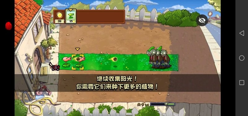 pvz小葵花版游戏 pvz小葵花版游戏