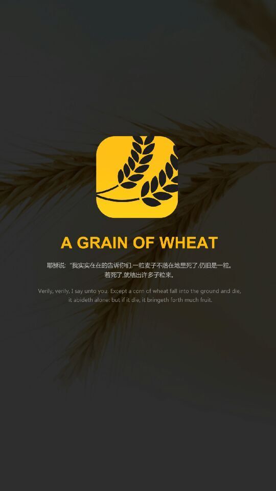 一粒麦子app下载